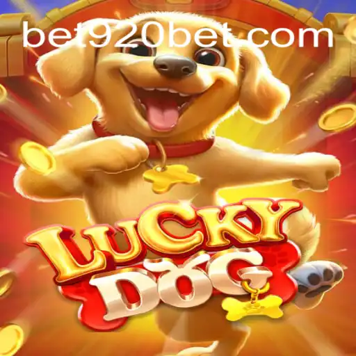 Exploring LuckyDog and 920bet: A Plataforma de Apostas #1 do Brasil