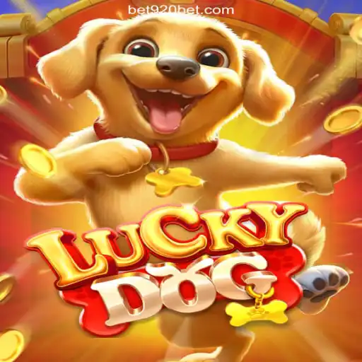 Exploring LuckyDog and 920bet: A Plataforma de Apostas #1 do Brasil